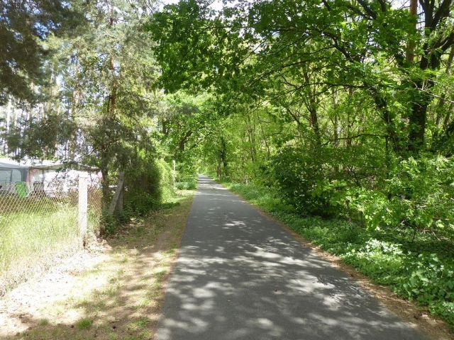 Ansicht Lausiger-Teich-Straße und Flurstück 27 rechts - Forstwirtschaftsfläche ca. 250 m östlich vom ´Großen Lausiger Teich´