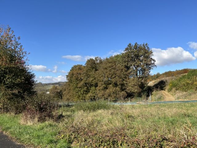 Blick Richtung Verkaufsgegenstand und auf die Umgebung - Waldfläche an der A45 im Naturraum Westerwald