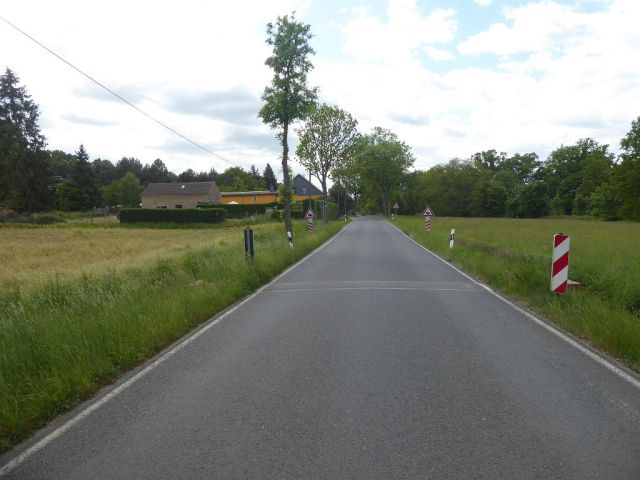 Ansicht Straße Splau (L128) - 3 Forstwirtschaftsflächen mit insgesamt 3,6 ha