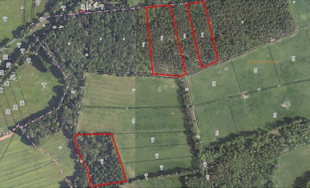 Lageskizze - 3 Forstwirtschaftsflächen mit insgesamt 3,6 ha