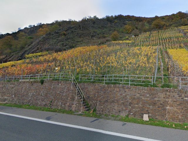 Blick Richtung Verkaufsflächen und Umgebung - Vertragsfreie bewaldete Fläche im Moseltal, nordöstlich der B 49 und nahe dem ´Bahnhof Nachtigall´