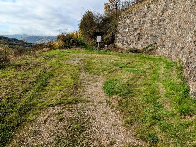 Blick in die Umgebung - Bahnhof Nachtigall - Vertragsfreie bewaldete Fläche im Moseltal, nordöstlich der B 49 und nahe dem ´Bahnhof Nachtigall´