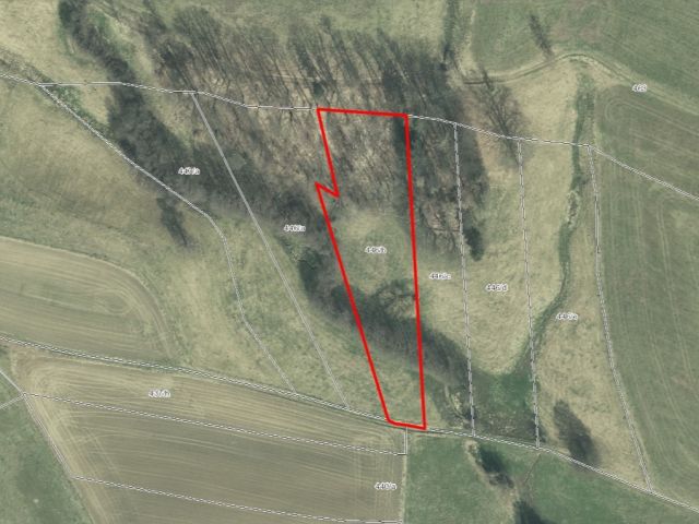 Lageskizze - Grünland- und bewaldete Fläche im Landkreis Sächsische Schweiz-Osterzgebirge