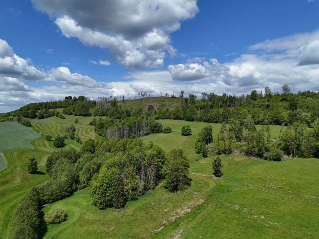 Blick auf Verkaufsfläche und Umgebung - Grünland- und bewaldete Fläche im Landkreis Sächsische Schweiz-Osterzgebirge
