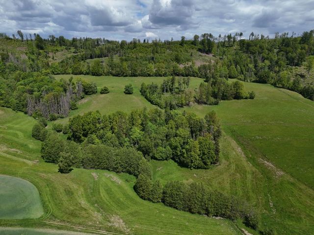 Blick auf Verkaufsfläche und Umgebung - Grünland- und bewaldete Fläche im Landkreis Sächsische Schweiz-Osterzgebirge