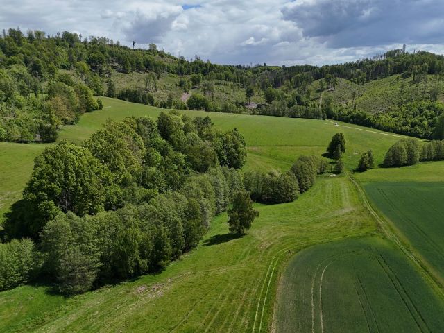 Blick auf Verkaufsfläche und Umgebung - Grünland- und bewaldete Fläche im Landkreis Sächsische Schweiz-Osterzgebirge