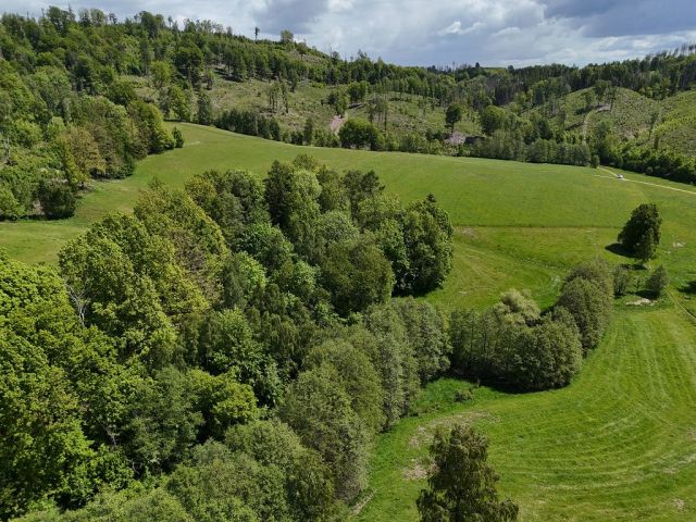 Blick auf Verkaufsfläche und Umgebung - Grünland- und bewaldete Fläche im Landkreis Sächsische Schweiz-Osterzgebirge