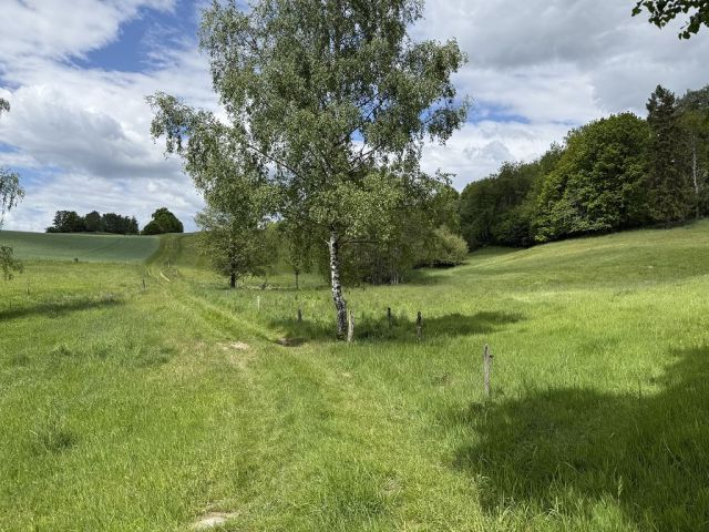 Blick auf die Umgebung Richtung Verkaufsfläche - Grünland- und bewaldete Fläche im Landkreis Sächsische Schweiz-Osterzgebirge