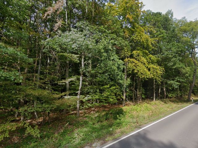 Verkaufsfläche und Umgebung - Über 1,7 Hektar vertragsfreie Waldfläche nördlich des Harzes