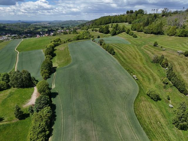 Blick Richtung Verkaufsfläche und auf die Umgebung - Landwirtschafts-/Ackerfläche mit geringem Gehölzbewuchs im Landkreis Sächsische Schweiz-Osterzgebirge