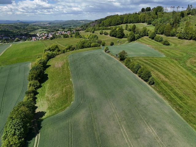 Blick auf Verkaufsfläche und Umgebung - Landwirtschafts-/Ackerfläche mit geringem Gehölzbewuchs im Landkreis Sächsische Schweiz-Osterzgebirge