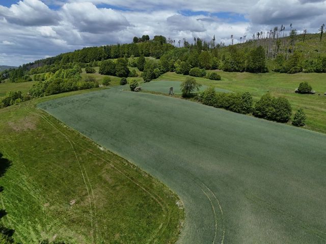 Blick auf Verkaufsfläche und Umgebung - Landwirtschafts-/Ackerfläche mit geringem Gehölzbewuchs im Landkreis Sächsische Schweiz-Osterzgebirge