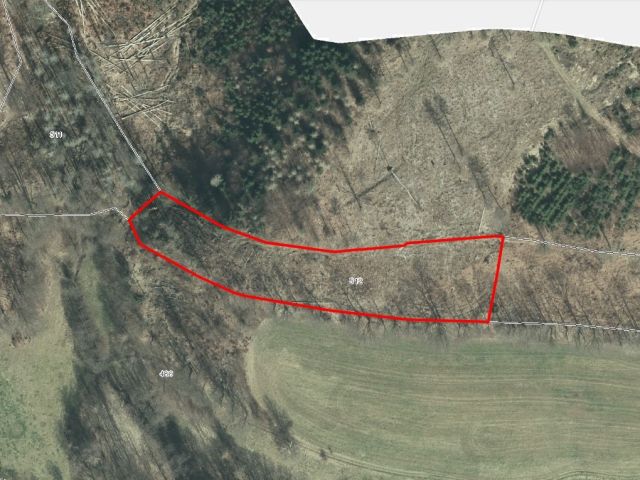 Lageskizze - Vertragsfreie teilweise mit Laubbäumen bewachsene Fläche im Landkreis Sächsische Schweiz-Osterzgebirge