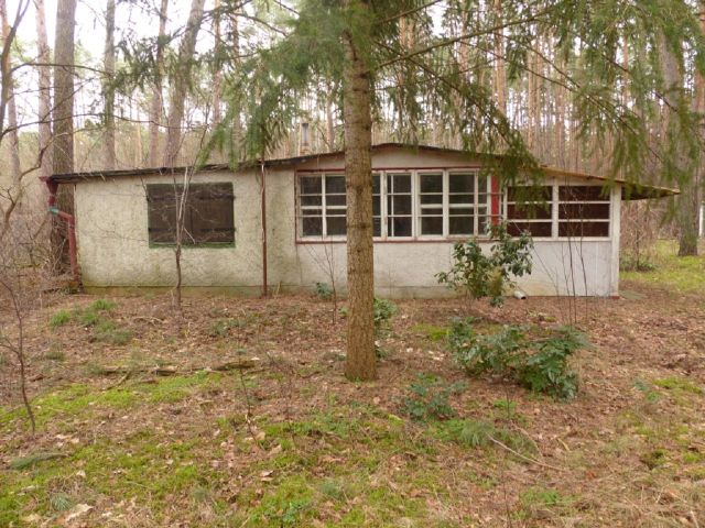 Ehemaliger Erholungsbungalow - Kiefernwald mit ehem. Erholungsbungalow im südwestlichen Berliner Umland  *etwa 29 km von der Potsdamer Innenstadt entfernt*