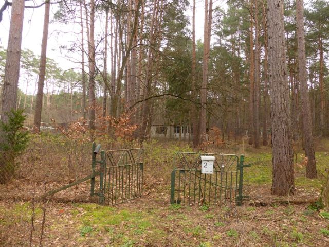 Blick auf das Verkaufsobjekt und die Umgebung - Kiefernwald mit ehem. Erholungsbungalow im südwestlichen Berliner Umland  *etwa 29 km von der Potsdamer Innenstadt entfernt*