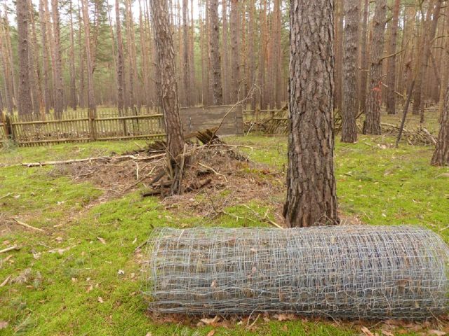 Ablagerungen - Vertragsfreies Grundstück mit ruinösem Garagengebäude **etwa 29 km von der Potsdamer Innenstadt entfernt**