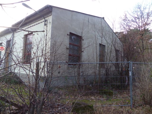 Blick auf Verkaufsfläche und Umgebung - Kleine mit Wildwuchs bewachsene Freifläche hinter einem bebauten Grundstück in Ludwigsfelde