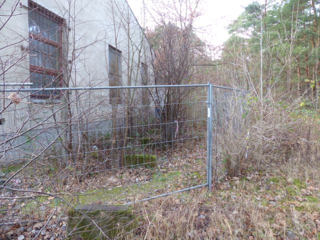 Blick auf Verkaufsfläche und Umgebung - Kleine mit Wildwuchs bewachsene Freifläche hinter einem bebauten Grundstück in Ludwigsfelde