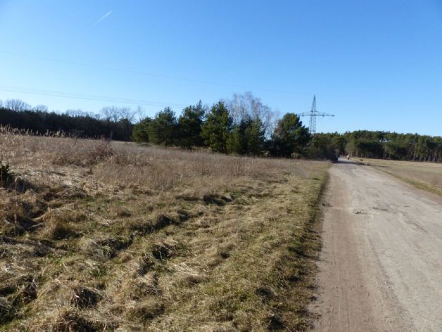 Blick auf die Verkaufsfläche und Umgebung - Über 1,7 Hektar Landwirtschaftsfläche am westlichen Ortsrand