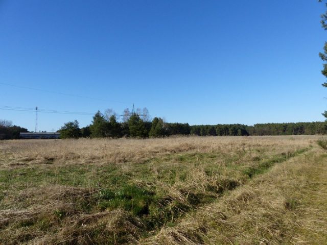 Blick auf die Verkaufsfläche - Über 1,7 Hektar Landwirtschaftsfläche am westlichen Ortsrand