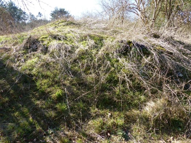Verkaufsfläche Detailansicht - Über 1,7 Hektar Landwirtschaftsfläche am westlichen Ortsrand