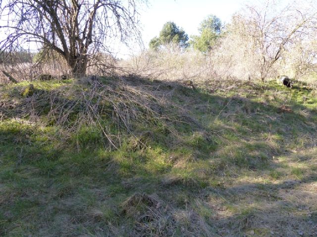Verkaufsfläche - Über 1,7 Hektar Landwirtschaftsfläche am westlichen Ortsrand