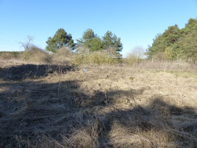 Verkaufsfläche - Über 1,7 Hektar Landwirtschaftsfläche am westlichen Ortsrand