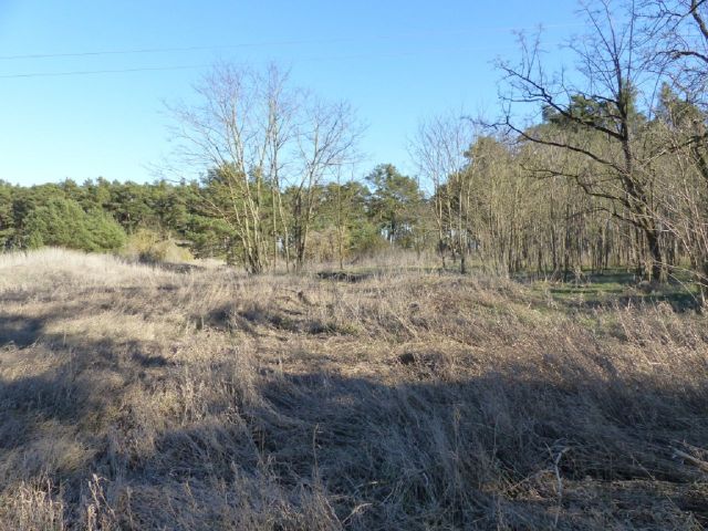Verkaufsfläche - Über 1,7 Hektar Landwirtschaftsfläche am westlichen Ortsrand