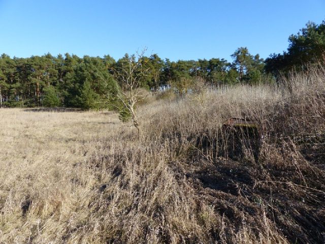 Blick auf die Verkaufsfläche - Über 1,7 Hektar Landwirtschaftsfläche am westlichen Ortsrand