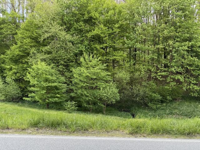 Blick auf Verkaufsfläche und Umgebung - Vertragsfreie, hängige Grünlandfläche im Landkreis Sächsische Schweiz-Osterzgebirge