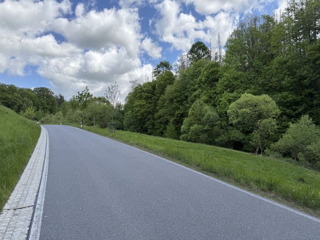 Ansicht Niederdorfstraße - Verkaufsfläche rechts - Vertragsfreie, hängige Grünlandfläche im Landkreis Sächsische Schweiz-Osterzgebirge