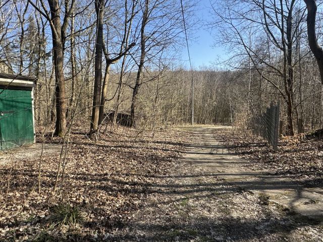 Blick auf unbefestigten Weg (Werkstraße) und Umgebung - Ehemaliges Wohngebäude mit separater Garage zwischen Chemnitz und Plauen