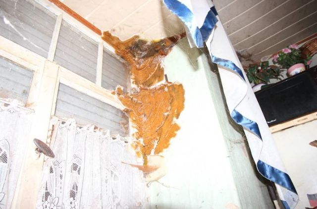 Detail Befall Küche - Ruinöse Doppelhaushälfte mit Nebengebäude zwischen Magdeburg und Halle (Saale)