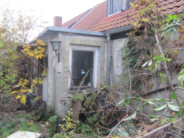 Anbau Hauseingang - Ruinöse Doppelhaushälfte mit Nebengebäude zwischen Magdeburg und Halle (Saale)