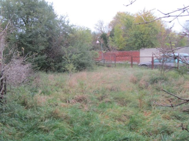 Freifläche und Umgebung - Ruinöse Doppelhaushälfte mit Nebengebäude zwischen Magdeburg und Halle (Saale)