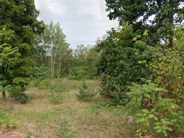 Blick von der Gerhard-von-Scharnhorst-Straße Richtung Verkaufsfläche und auf die Umgebung - Vertragsfreie, naturbelassene Freifläche in Hoyerswerda