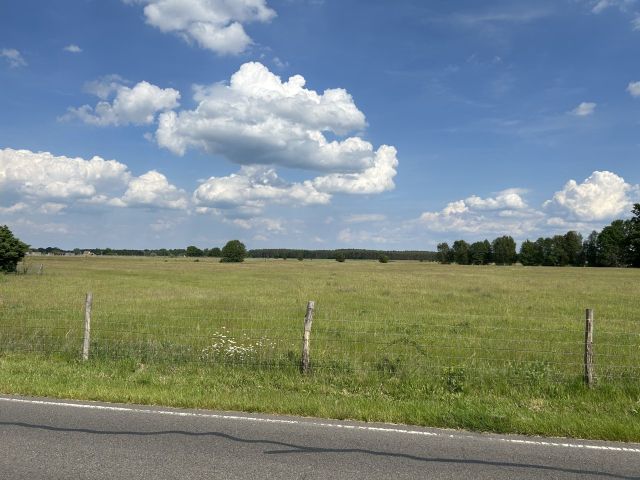 Blick auf Verkaufsfläche und Umgebung - Baugrundstück innerhalb eines rechtskräftigen Bebauungsplanes südöstlich von Cottbus