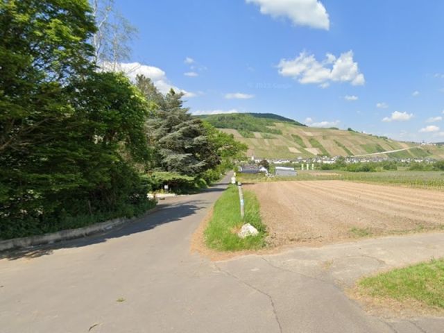 Blick von der B53 auf die Straße Am Kestener Weg und auf die Umgebung - Mit Wildwuchs und Büschen naturbelassene Fläche zwischen Weinbergen an der Mosel