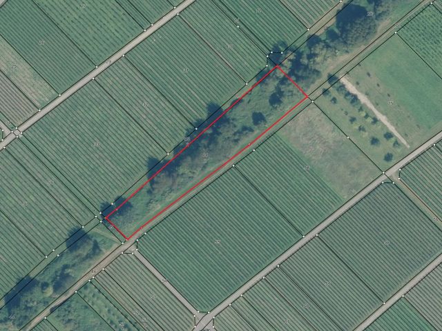 Lageskizze - Mit Wildwuchs und Gehölzen naturbelassene Fläche zwischen Weinbergen an der Mosel