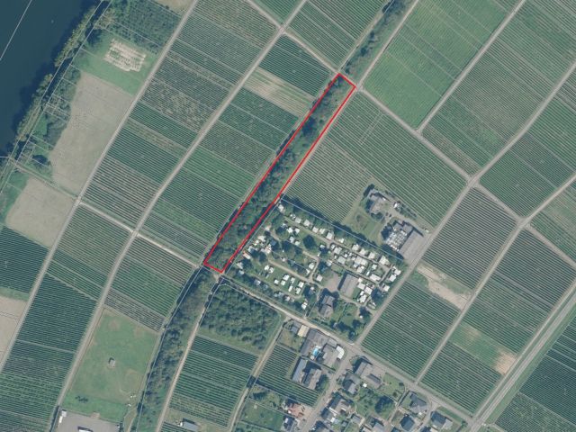 Lageskizze - Mit Büschen und Gehölzen naturbelassene Fläche zwischen Weinbergen an der Mosel und neben dem ´Campingplatz Georgshof´