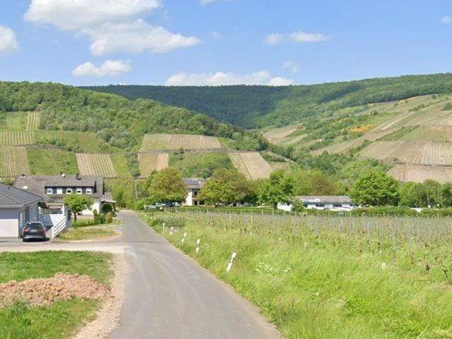 Blick von der B53 auf die Zuwegung und die Umgebung Richtung Verkaufsfläche - Mit Büschen und Gehölzen naturbelassene Fläche zwischen Weinbergen an der Mosel und neben dem ´Campingplatz Georgshof´