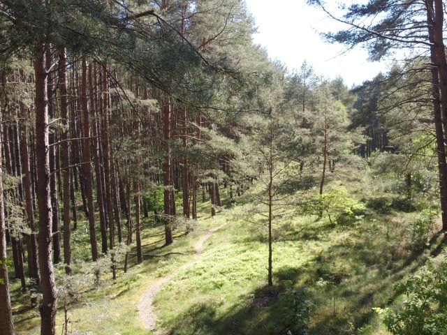 Blick Richtung Verkaufsobjekt und Umgebung - Vertragsfreies Grundstück an einer Bahntrasse auf der Insel Usedom