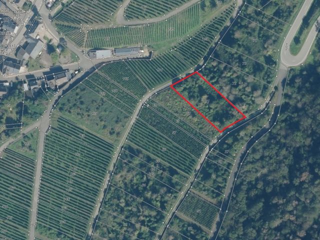 Lageskizze - Vertragsfreie Fläche in Hanglage mit Blick auf die Mosel - gerodeter, ehemaliger Weinberg