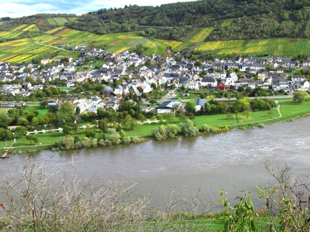 Blick Richtung Verkaufsfläche und auf die Umgebung - Vertragsfreie Fläche in Hanglage mit Blick auf die Mosel - gerodeter, ehemaliger Weinberg