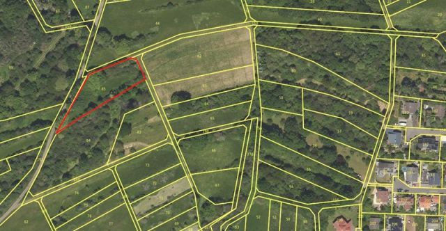 Umgebungsskizze - Grünlandfläche mit Gehölzbewuchs in der Wetterau
