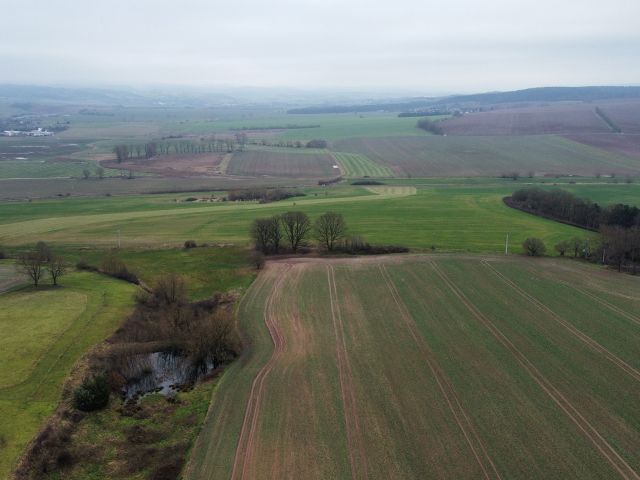Verkaufsfläche und Umgebung - 1/2 Miteigentumsanteil an einer verpachteten Landwirtschaftsfläche südöstlich der Kleinsiedlung Hetzeberg