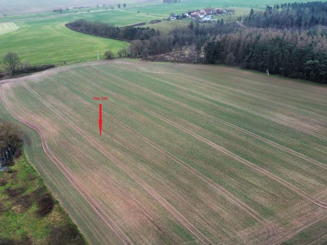 Verkaufsfläche und Umgebung - 1/2 Miteigentumsanteil an einer verpachteten Landwirtschaftsfläche südöstlich der Kleinsiedlung Hetzeberg