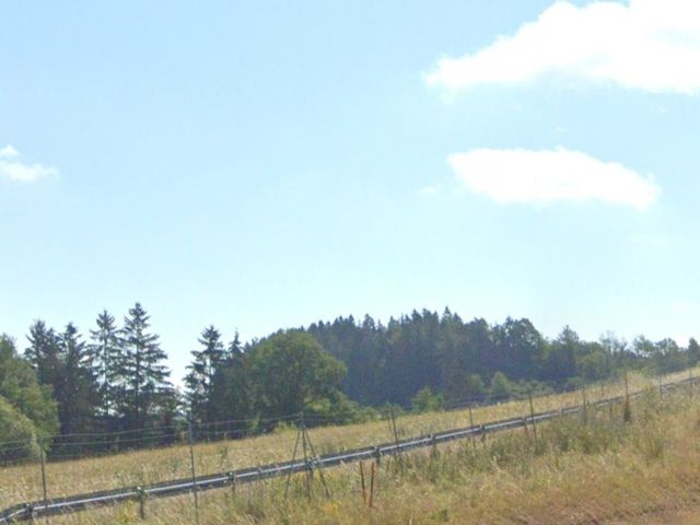 Blick Richtung Flurstück 392/3 mit Umgebung - Teilweise vertragslos genutzte Splitterflächen (Wege-, Grün- und Waldfläche) **am Südwestrand des Thüringer Schiefergebirges**