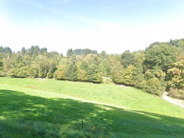 Blick Richtung Verkaufsfläche und Umgebung - Vertragsfreies Wochenendgrundstück - Lage innerhalb eines B-Planes **etwa 40 km vom Wiesbadener Zentrum entfernt**