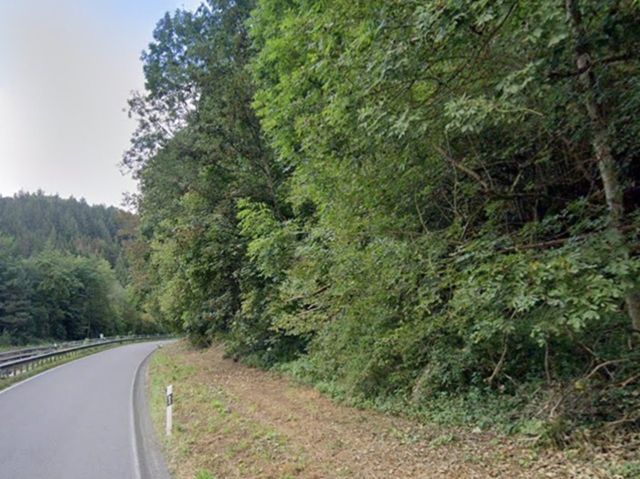 Verkaufsfläche rechts und Umgebung - Über 1,1 Hektar vertragsfreie Waldfläche **etwa 32 km nördlich vom Trierer Zentrum entfernt**